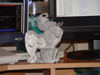 Filename=twgriff5.jpg
Filesize=1350KB
Dimensions=2048x1536
Date added=Jan 28, 2009 twgriff5.jpg