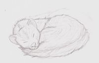 Filename=ferretsnooze.jpg
Filesize=16KB
Dimensions=500x320
Date added=Mar 06, 2010 ferretsnooze.jpg
