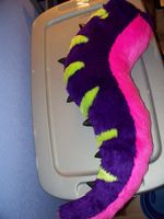100_3046.JPG
