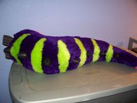 100_3048.JPG