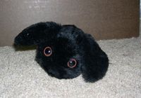 DSCN1788.JPG