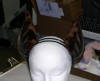 DSCN1831.JPG