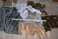 DSCN2021.JPG