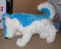 P1020874.jpg