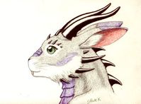 drabbit.jpg