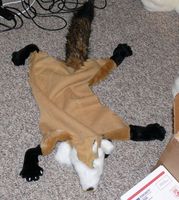 Filename=foxpelt2.jpg
Filesize=210KB
Dimensions=800x892
Date added=Apr 12, 2008 foxpelt2.jpg