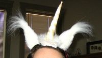 unicorn.jpg
